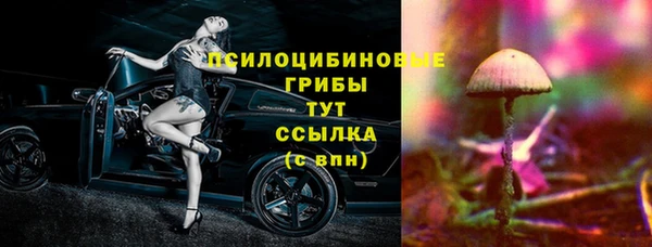 молекула духа Беломорск