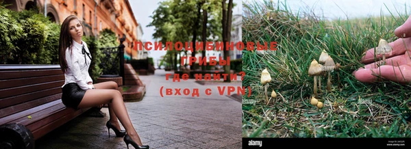 2c-b Белоозёрский