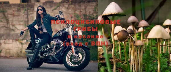 молекула духа Беломорск