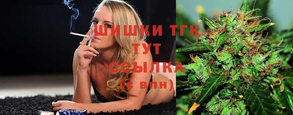 молекула духа Беломорск